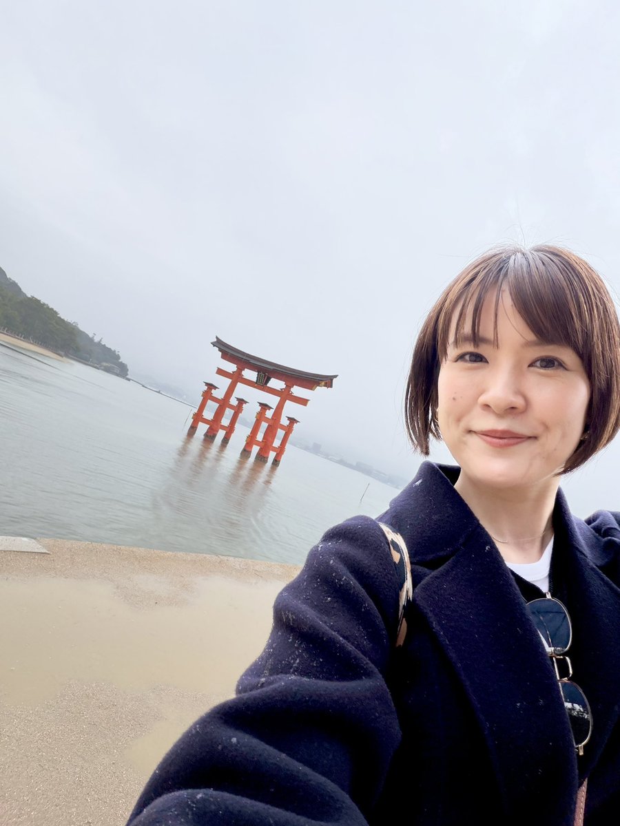 矢尾明子 tweet media