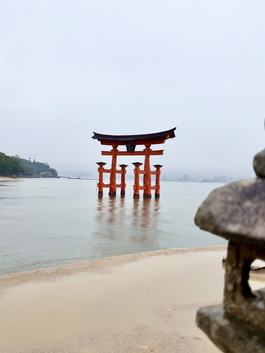 矢尾明子 tweet media