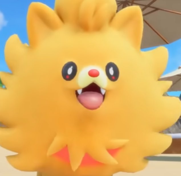 ちゃっぴー (@usagi_chappy) / Posts / X