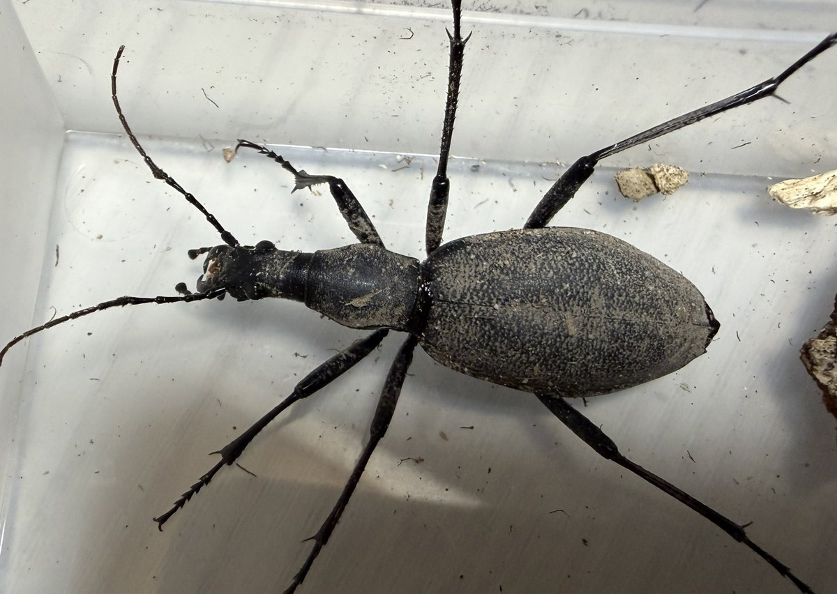 わわwa3 (@jb_wa3) / Posts / X