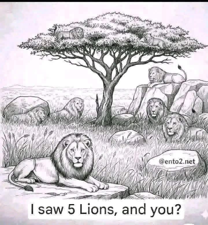 Jam Baqir tweet media