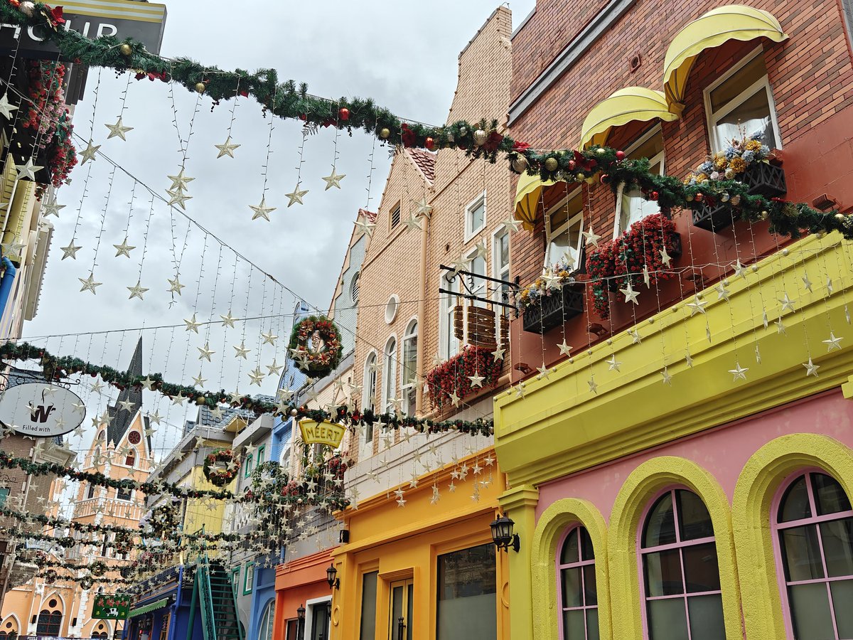 慵懒的猫，焦虑的我吾輩は猫である，希望我别落到缸里淹死