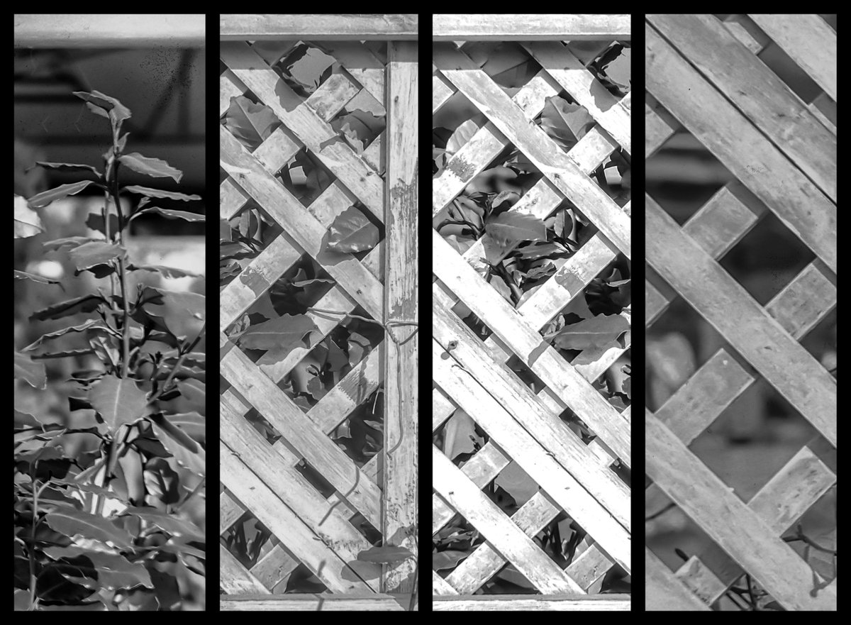 Steve Edwards #The Smoking Photographer tweet media