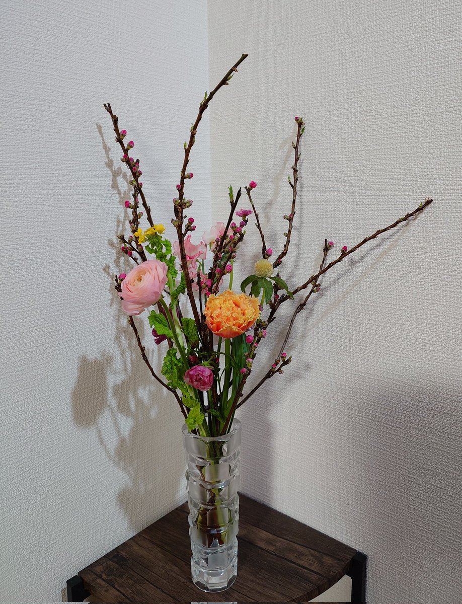 Youko_Nanami's tweet photo. #艶が〜る 再配信3周年！！おめでとうございます！
桃の節句も近いので、桃の花をメインにしたアレンジメントでお祝い💐です🙆
#プリムラドロップス 版の艶が〜るが末永く配信されますように…😆 https://t.co/atcqS8tYd5