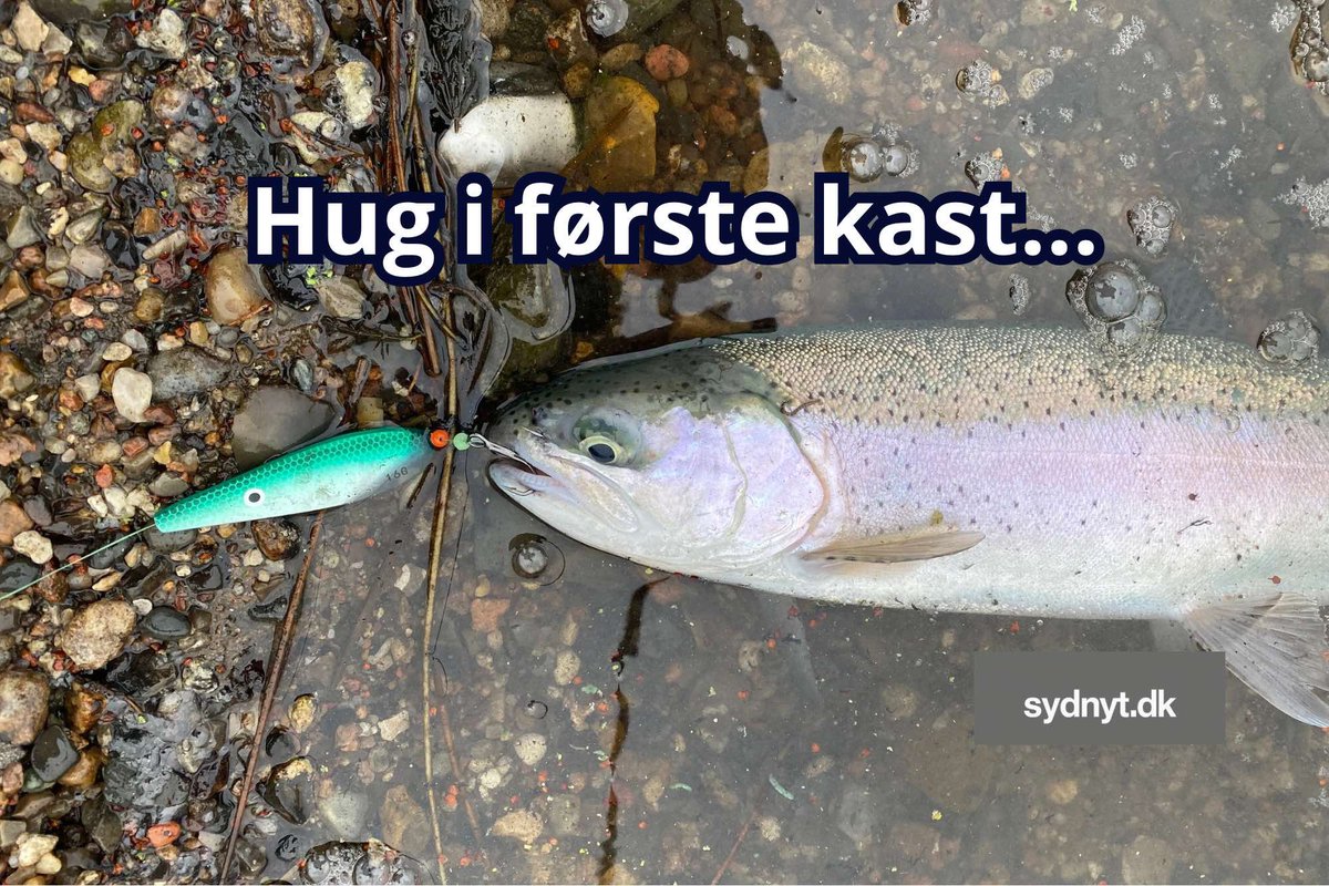 angelnindenmark's tweet photo. Hug i første kast i Mjøls Lystfiskeri Rødekro - https://t.co/3X4bdgvVz9 https://t.co/xx28AiKQOe