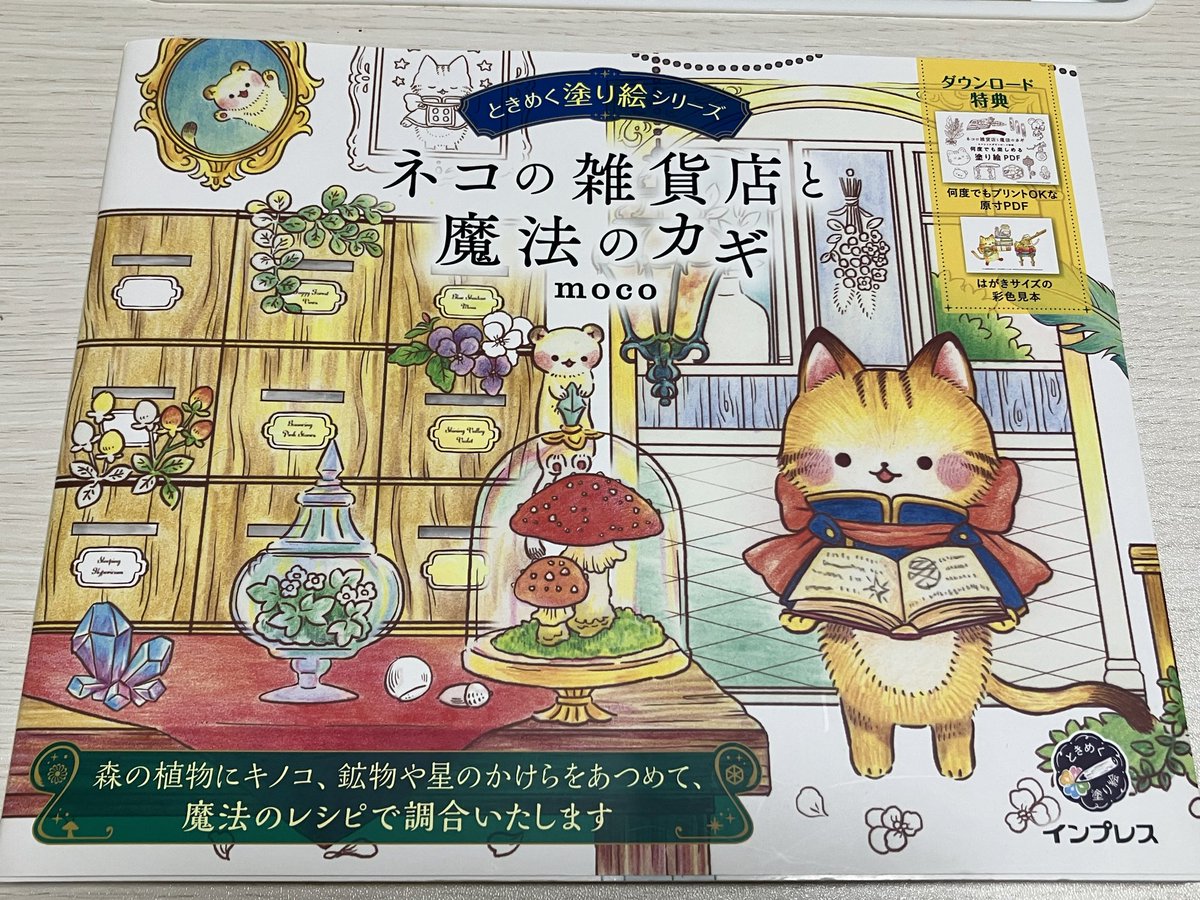 m062672's tweet photo. 久しぶりに塗り絵してみたら
すごく楽しかった(≧∇≦)
イラストも可愛くて癒される☺️💓

 #インプレス塗り絵コンテスト2026
 #ネコの雑貨店と魔法のカギ
 #ときめく塗り絵シリーズ https://t.co/JnCtZ9ds4O
