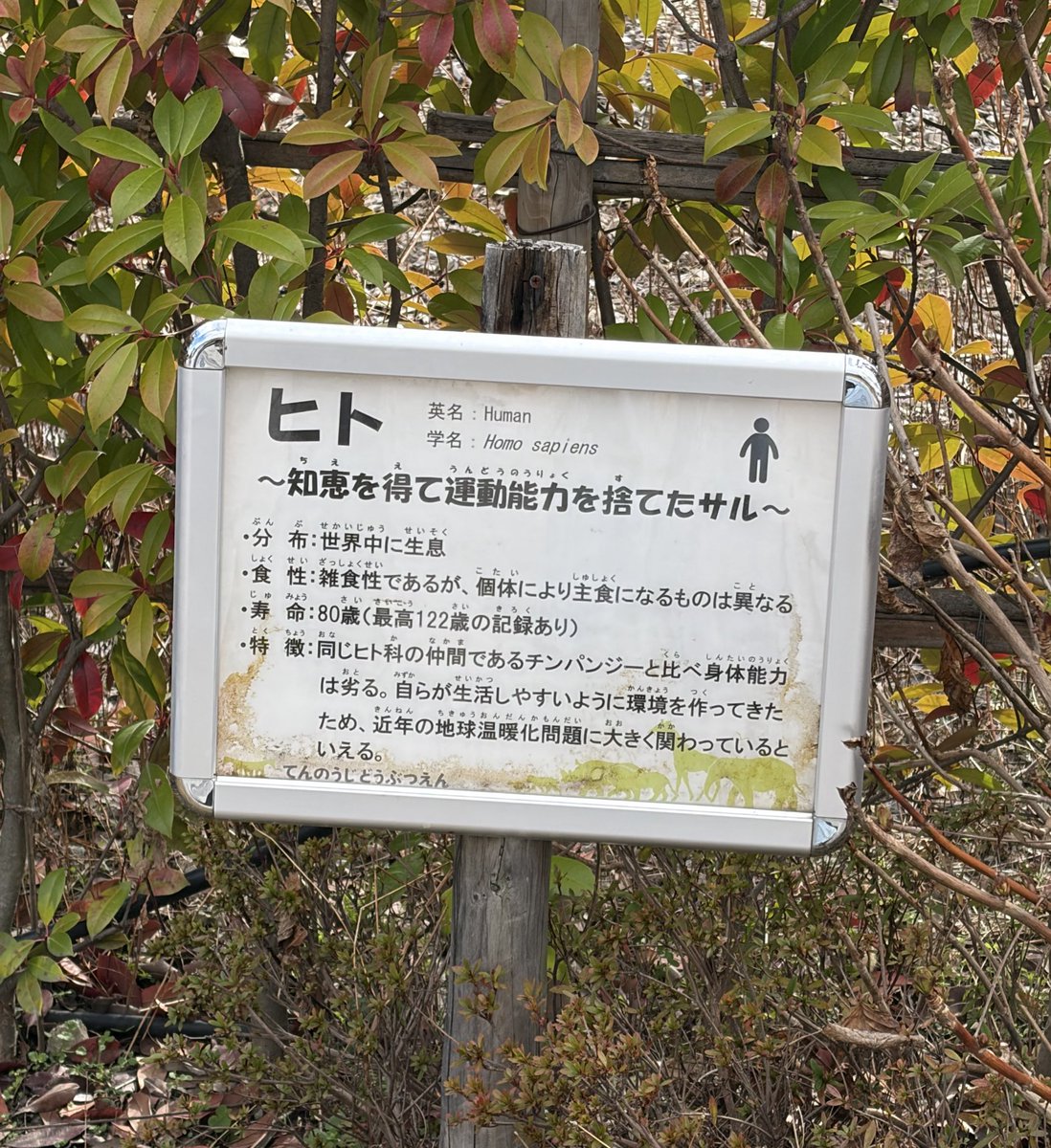 お米4合 tweet media