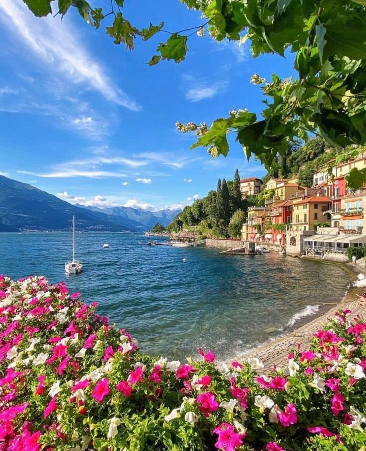 NaturalWorld515's tweet photo. Mediterranean summer https://t.co/EUwfVuqaDe