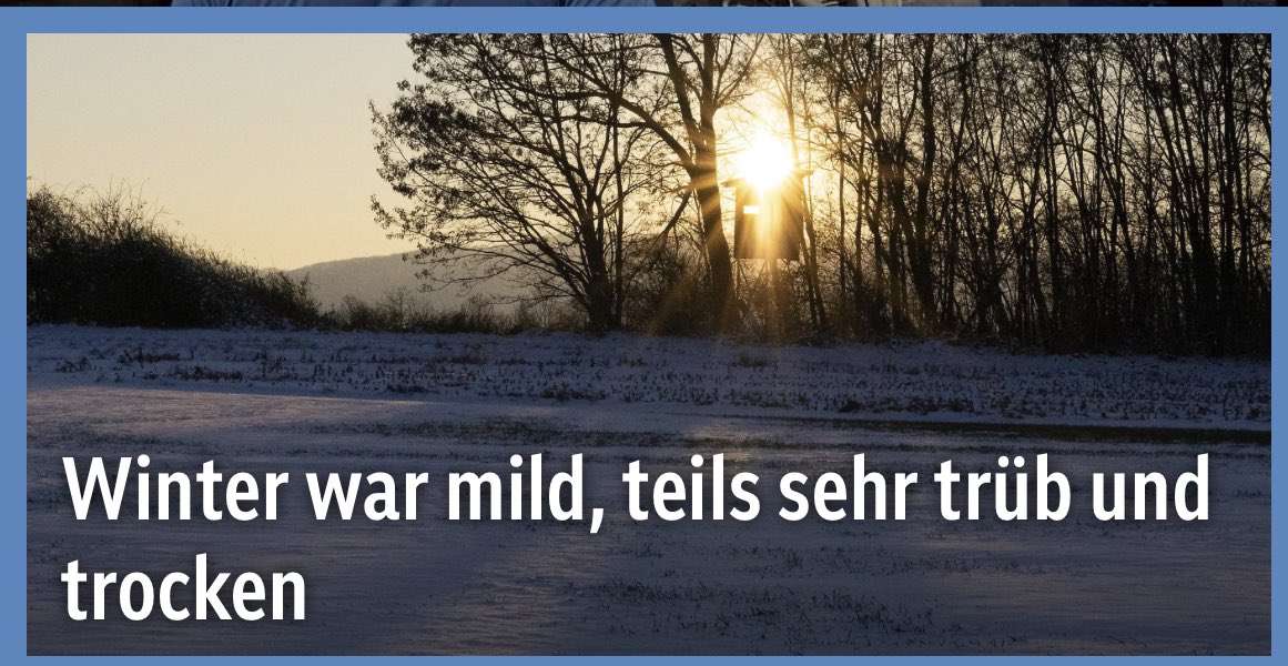 „Plagiatsjäger“ tweet media