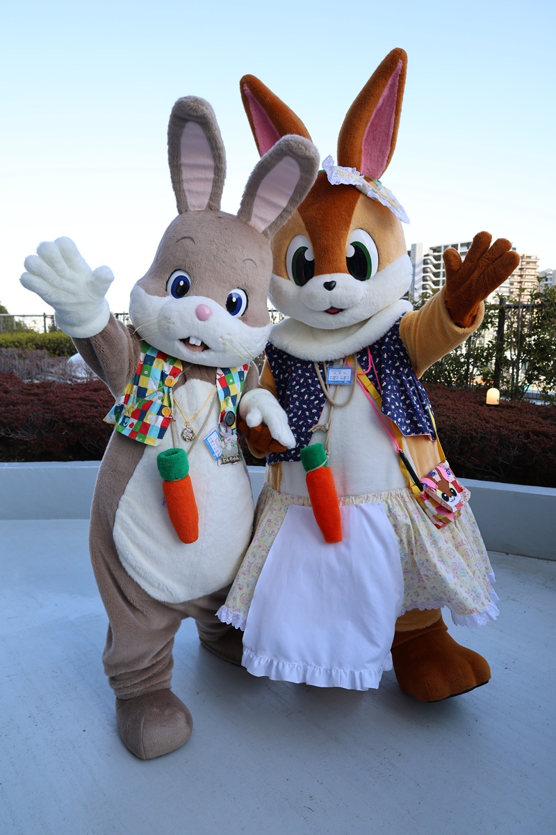 どんちゃん (@Donn_Chann) / Posts / X