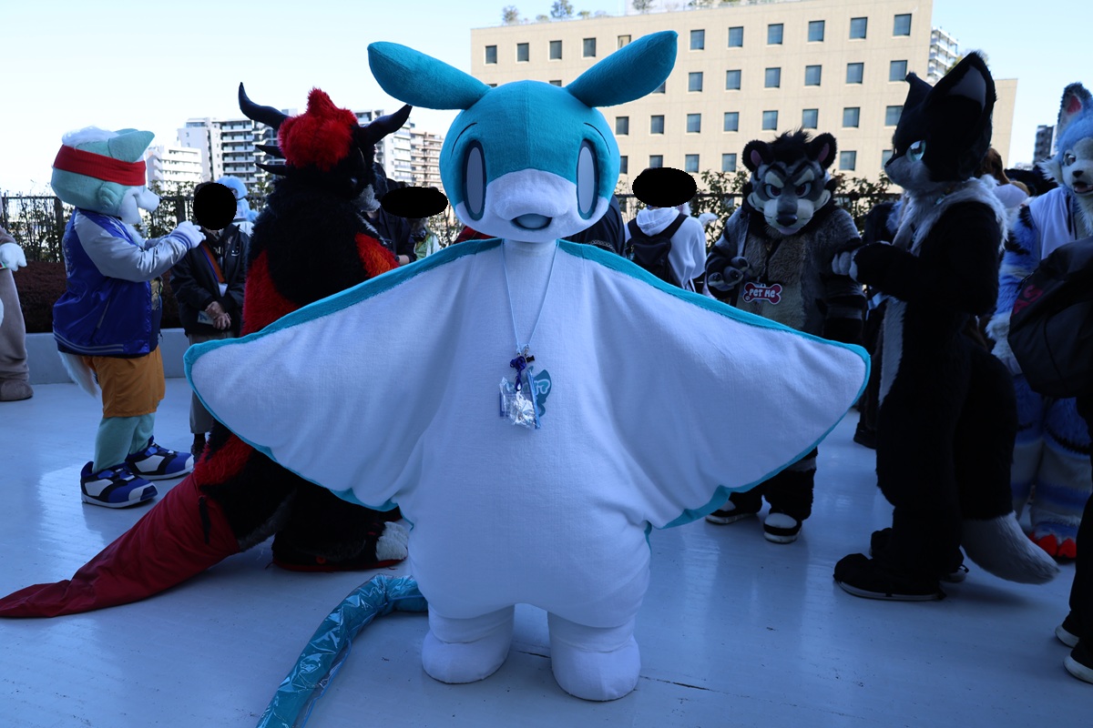 どんちゃん (@Donn_Chann) / Posts / X