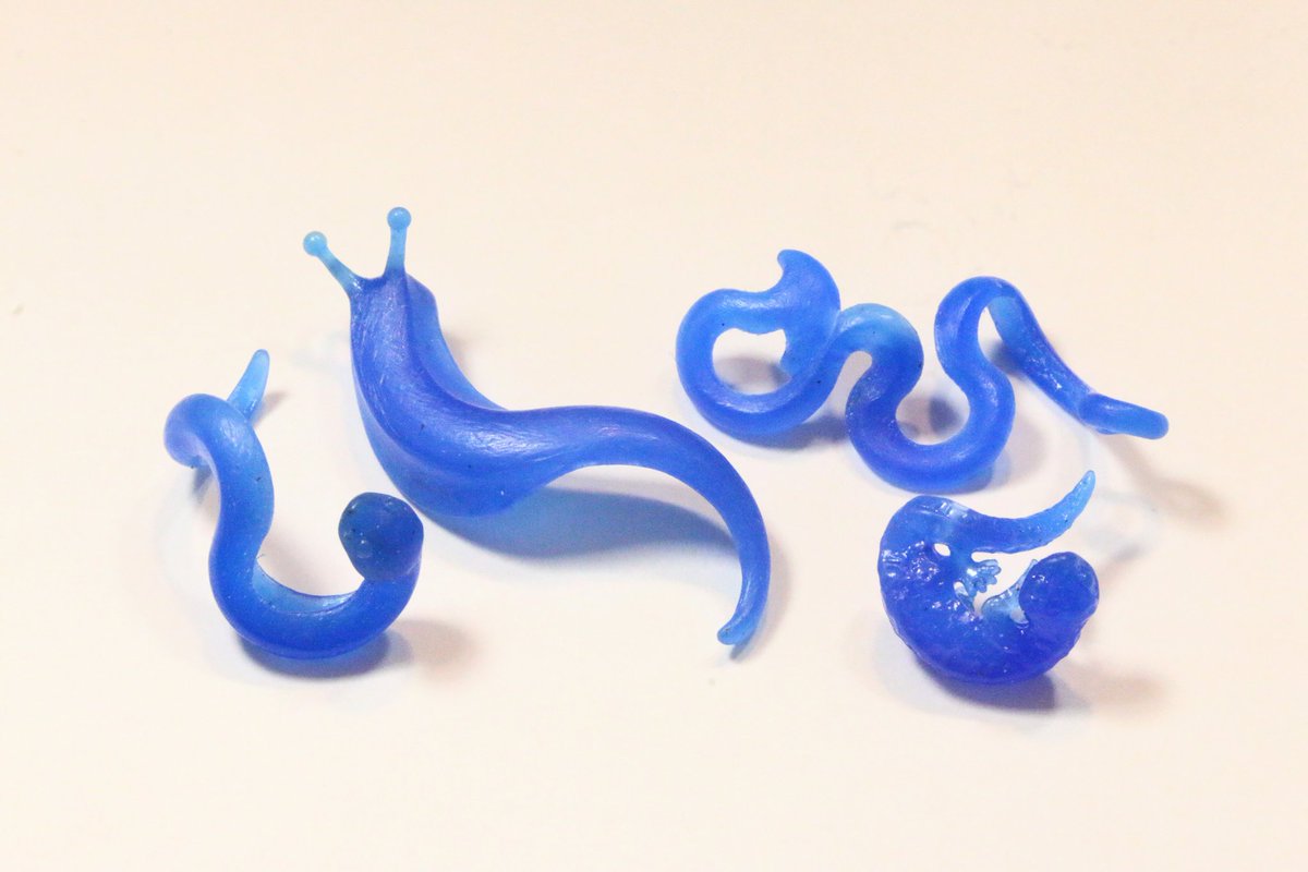 アトリエpuchuco (@puchuco709) / Posts / X