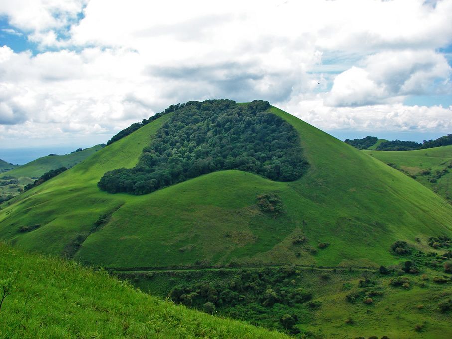 The Green Hills of Africa

#ChyuluHills #MagicalKenya #TembeaKenya #HikingKenya #AdventureAwaits #ExploreKenya #CampingLife #KenyaSafari #GreenHillsOfAfrica #TravelKenya