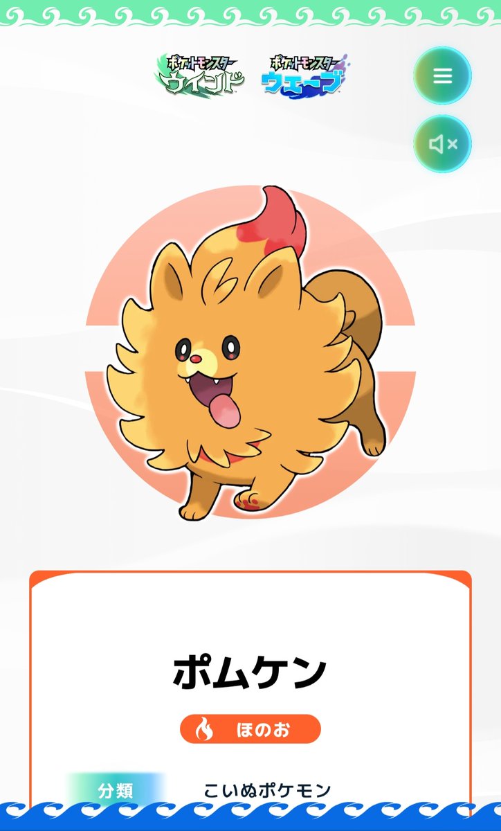 FUM (フム) tweet media