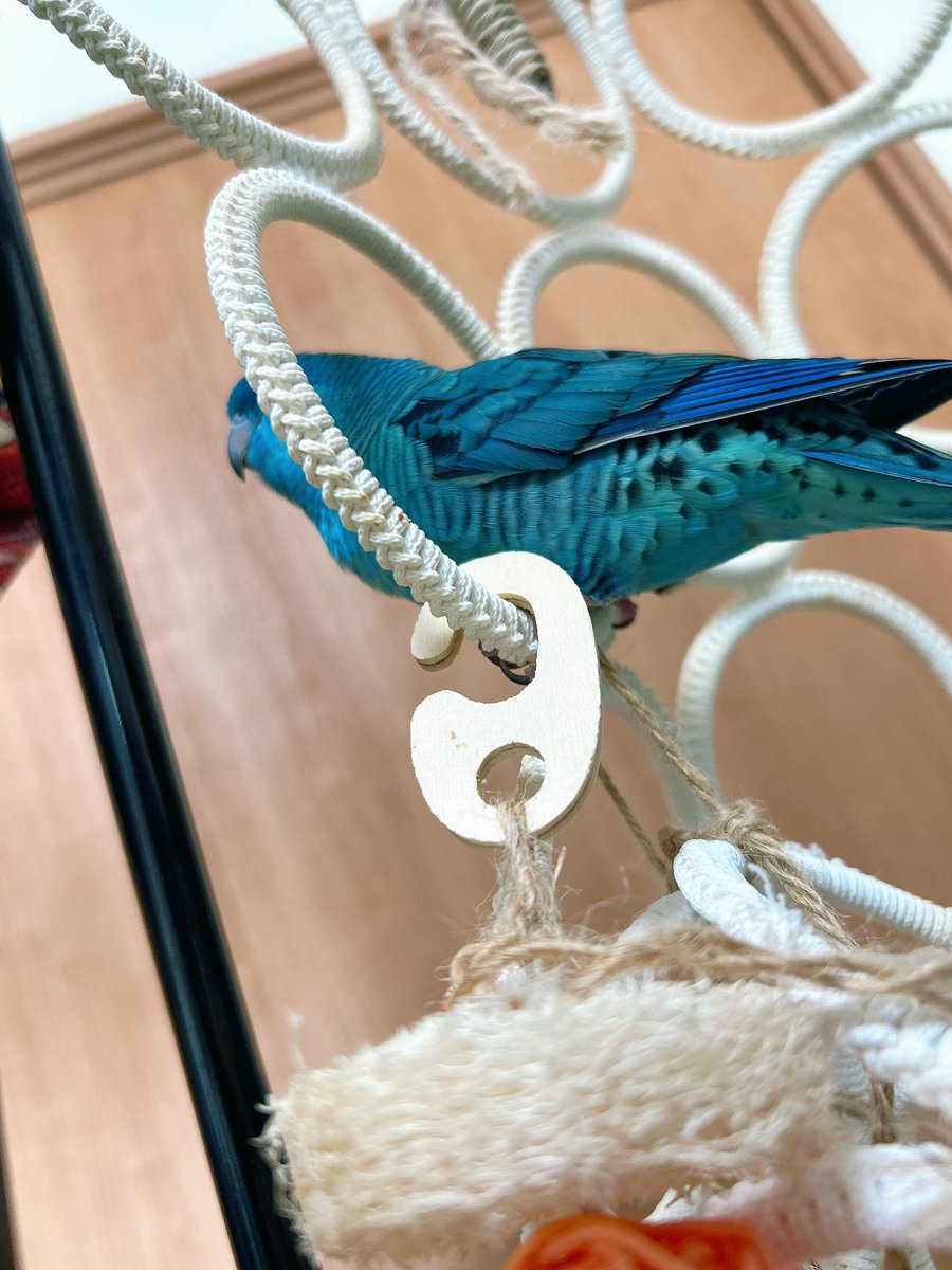 夢日和 tweet media