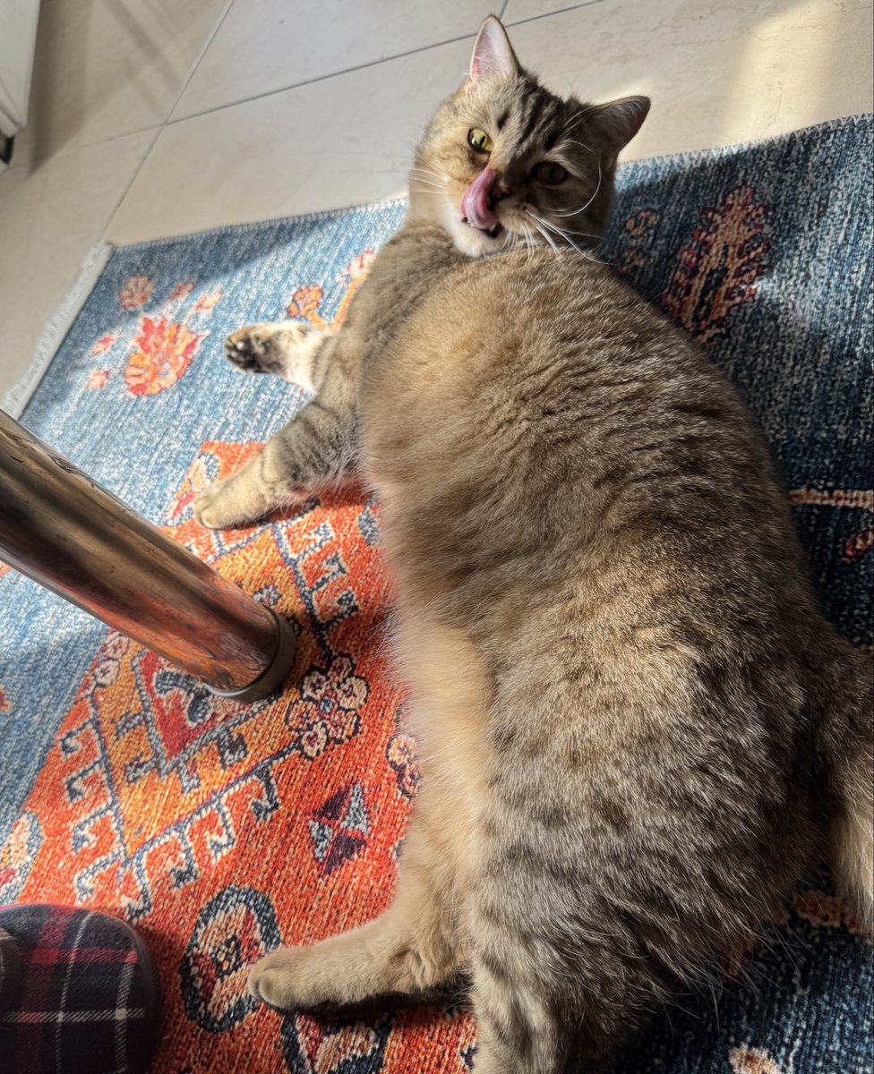 ablasını kıskandı