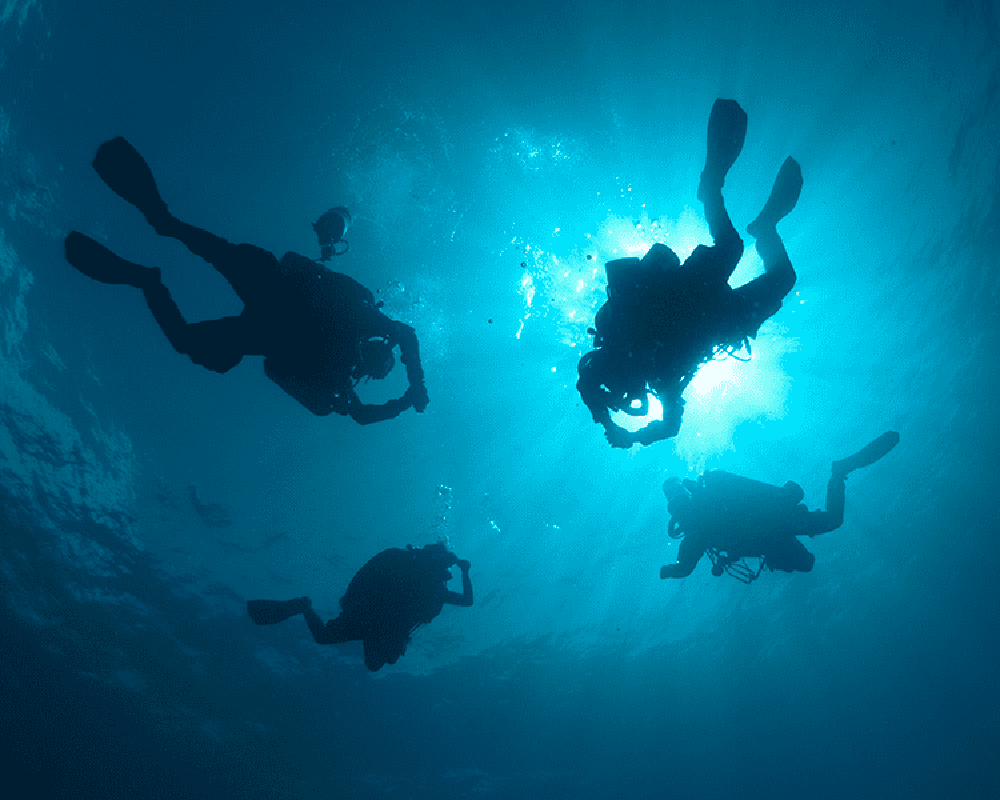 InDEPTH Magazine tweet media