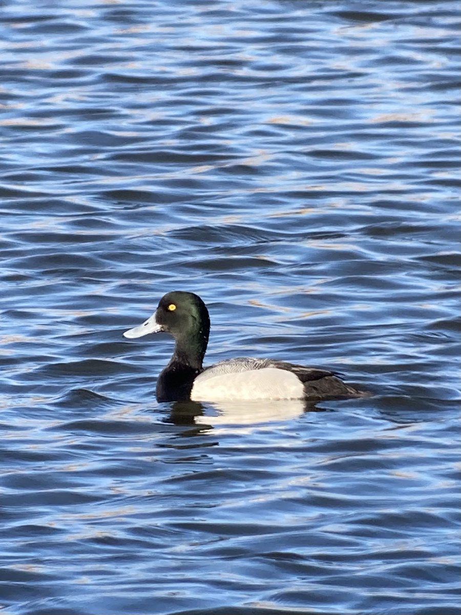 Mark Bailey tweet media