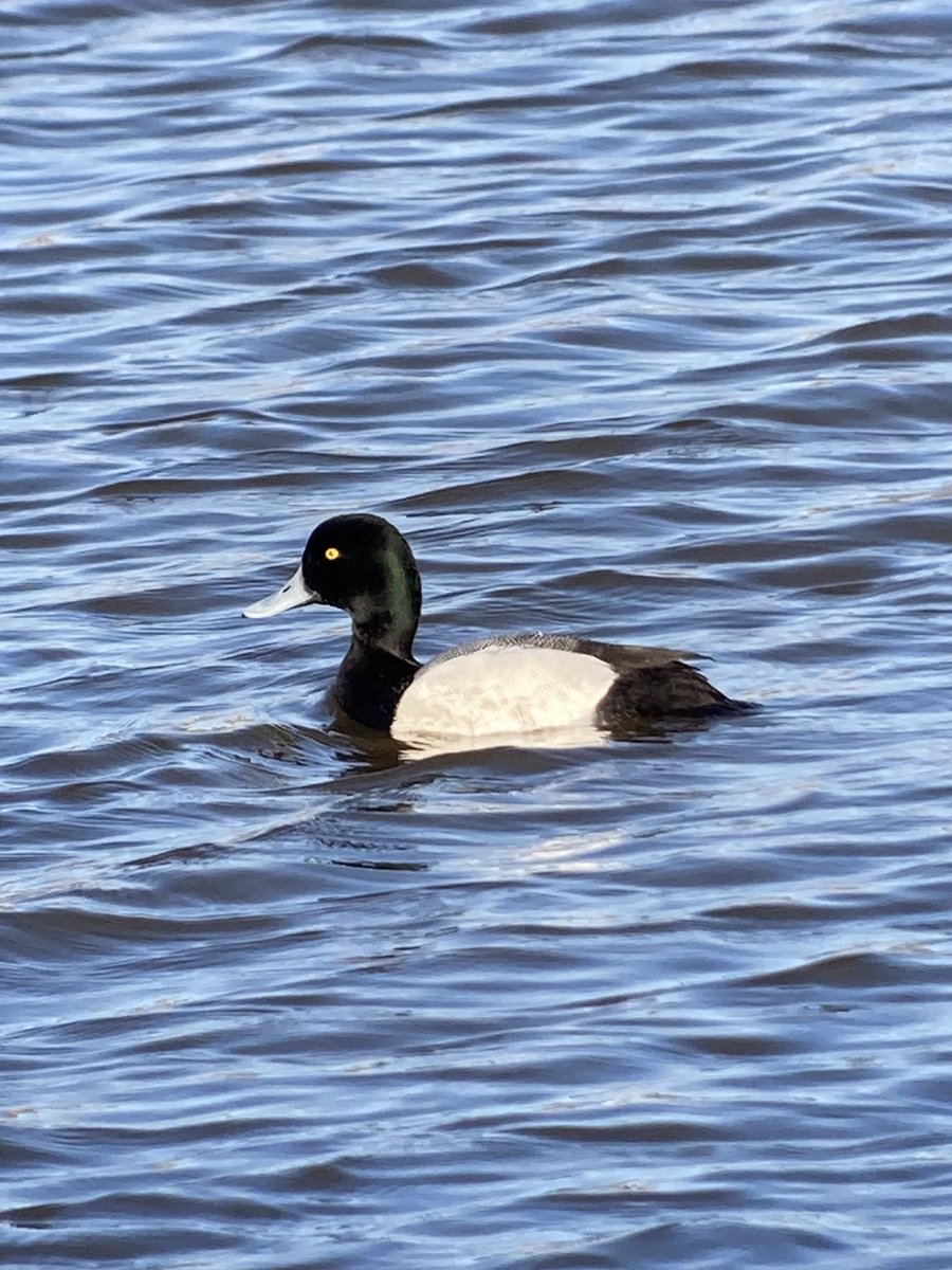 Mark Bailey tweet media