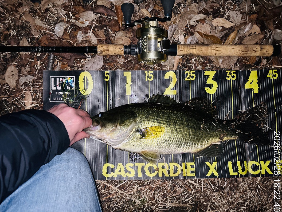 山ちゃん (@XkHQtZK8kx3fhWt) / Posts / X