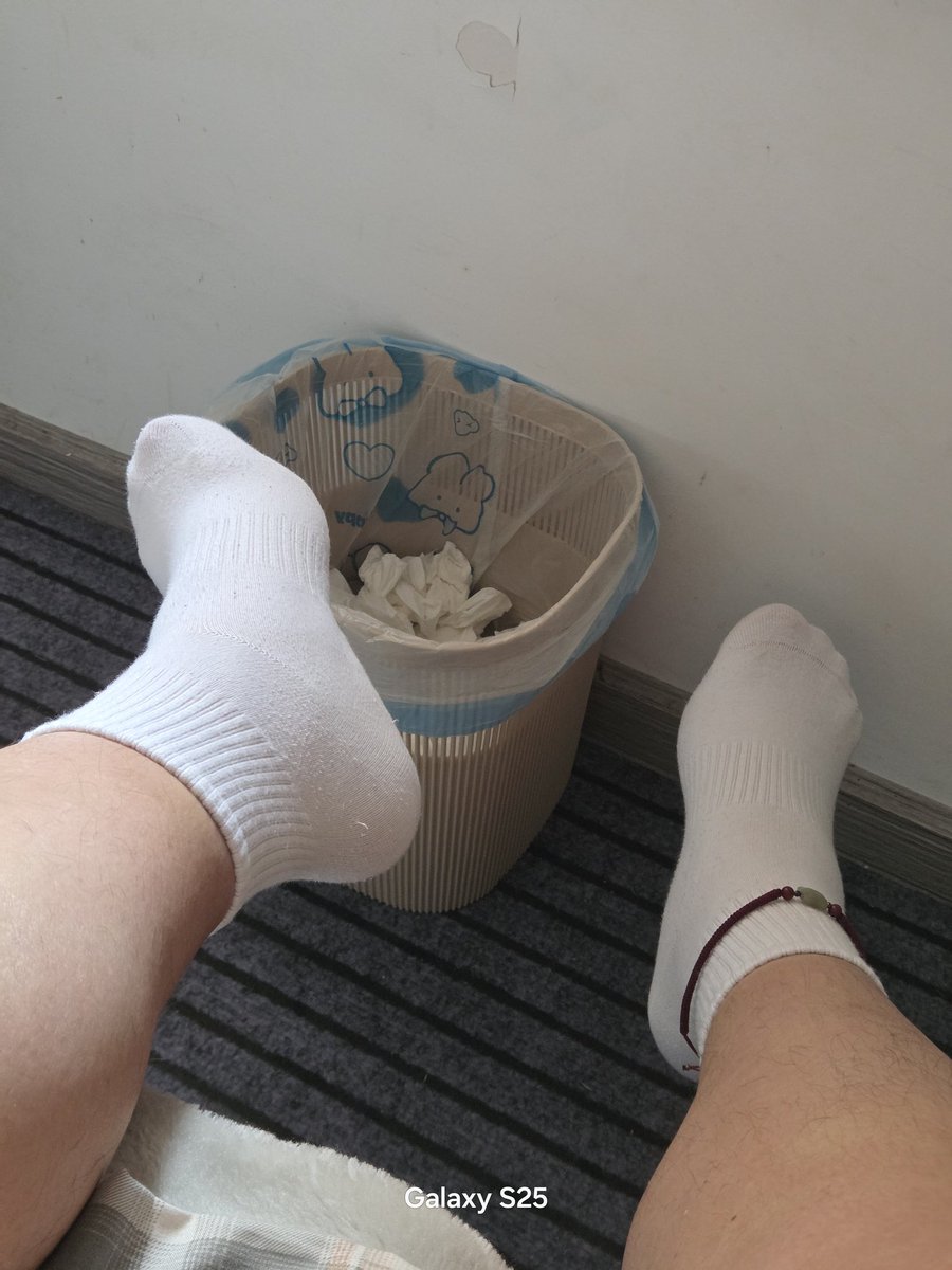 短毛的瑞(🐷)在成都 tweet media