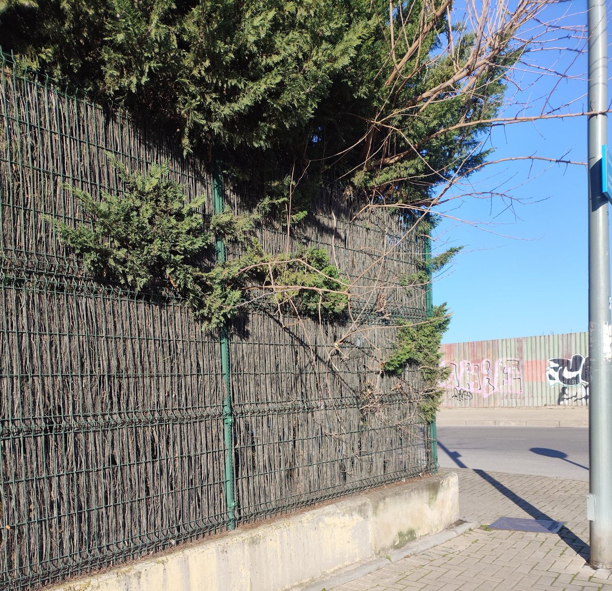 apvlafortuna's tweet photo. El #Mantenimiento de los servicios públicos brilla por su ausencia. Todo sigue igual @AytoLeganes . La seguridad a la ciudadanía para qué. https://t.co/JAGRm4PiDF