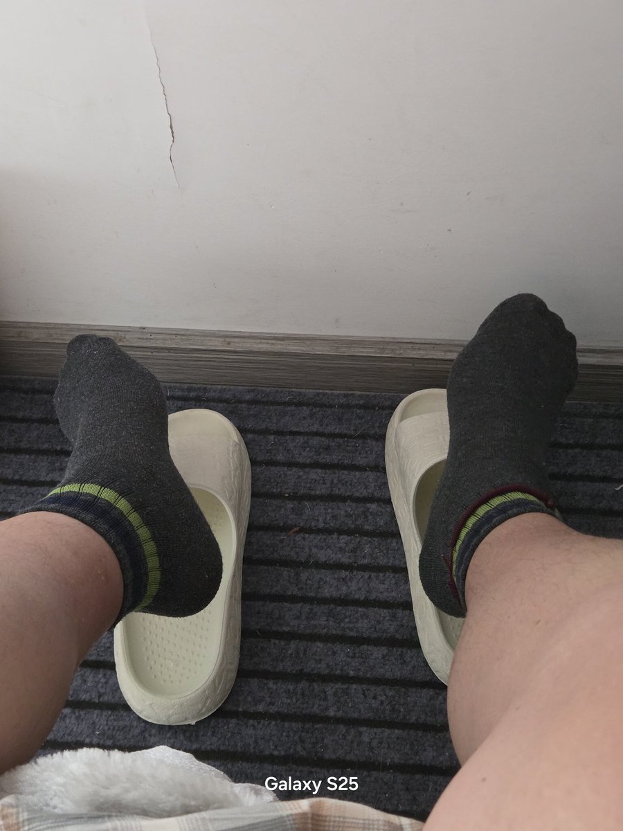 短毛的瑞(🐷)在成都 tweet media