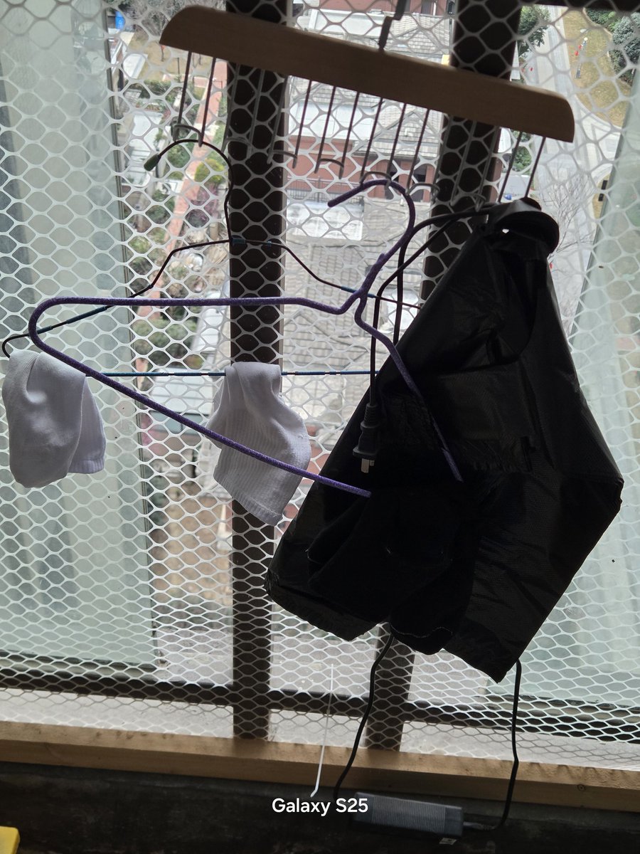 短毛的瑞(🐷)在成都 tweet media