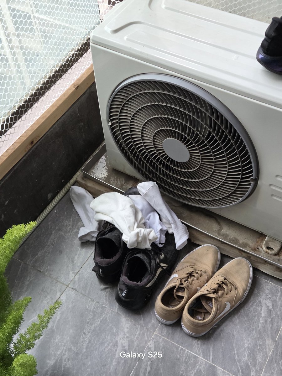 短毛的瑞(🐷)在成都 tweet media