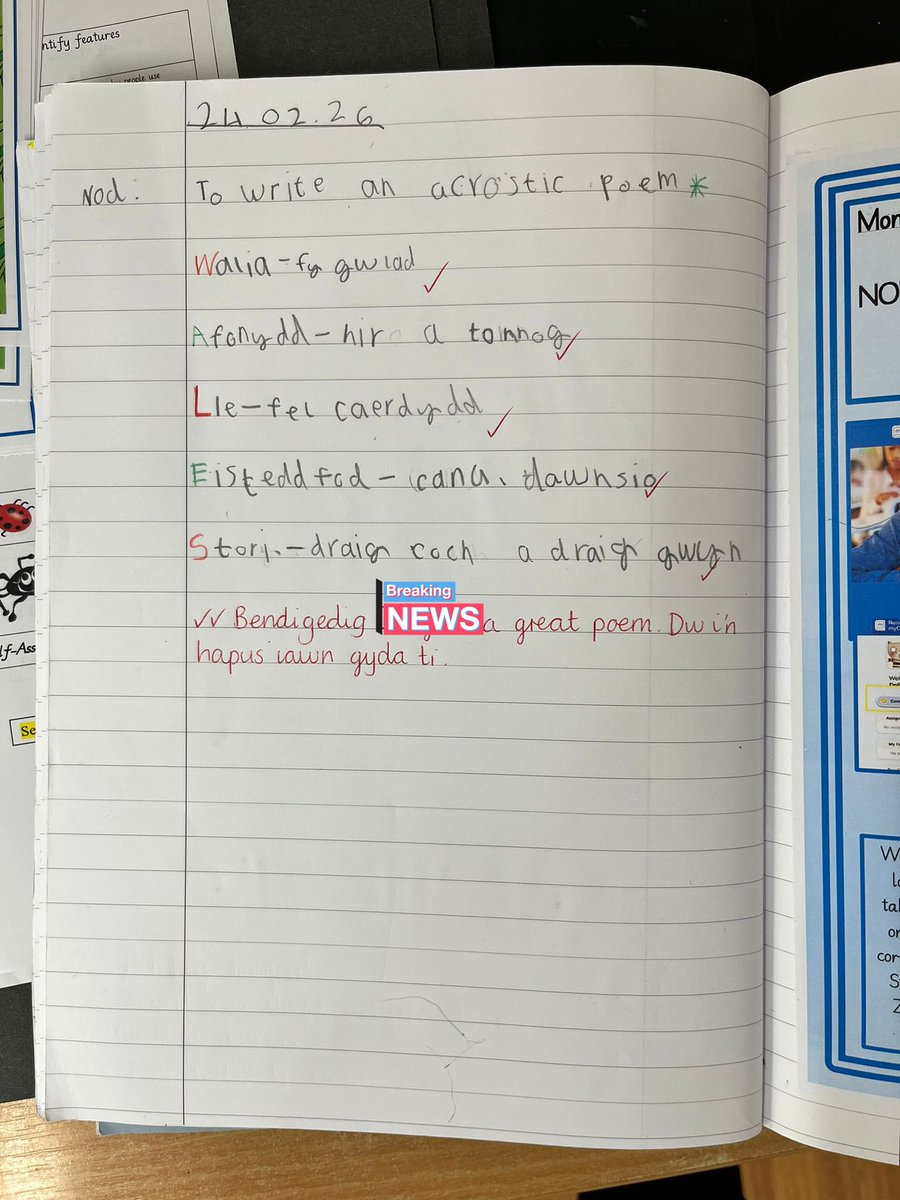 MissWinter1's tweet photo. Some wonderful acrostic poems in Y2 @NantYParcSchool this week. We’ve been practising short burst writing using familiar vocab and resources to help us find new ones. @MissFord17 https://t.co/3Fawvoi5lD