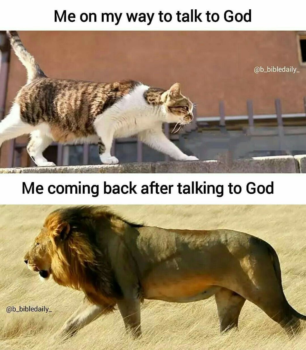 Holy Humor (@holyhumorr) on Twitter photo 