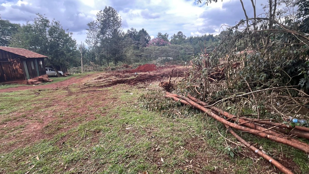 We are aware that it is very difficult to know whom to believe (no trees cut) so you can also go and see for yourself the extent of the damage done, the site is on the main track from Kfeet to KFS HQ at junction 15 A, the weather seems to be lifting, enjoy the walk! #SaveKarura