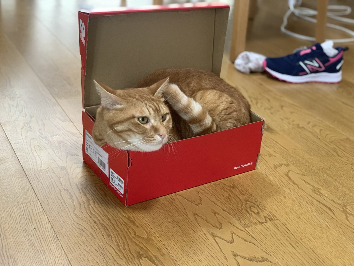 川井俊夫 tweet media