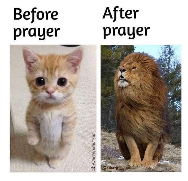 Holy Humor (@holyhumorr) on Twitter photo 