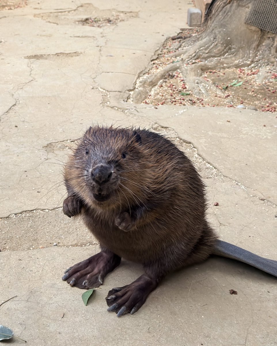 bibami(ビバ美) (@bi__bami) / Posts / X