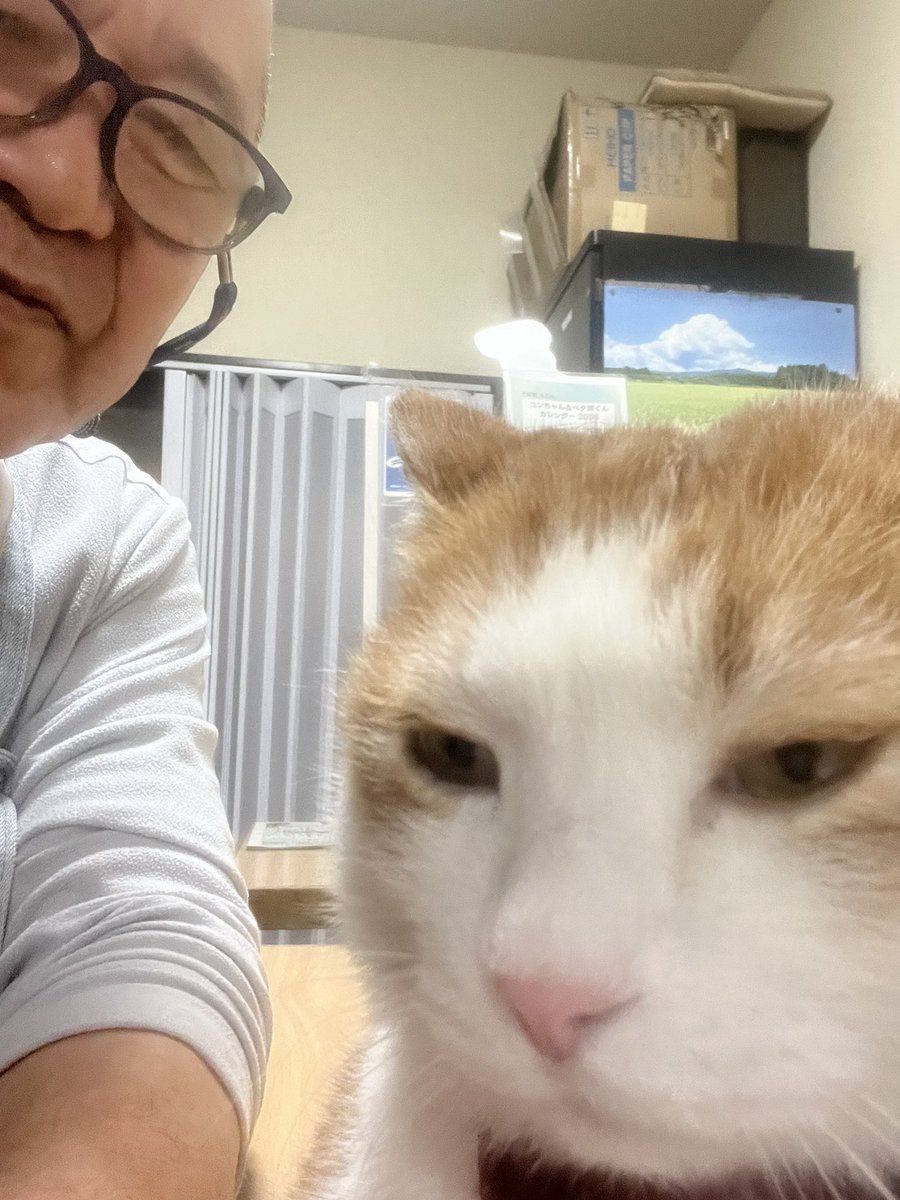 そば処大むら ペタコンちゃんねる (@oomurapetakon) / Posts / X