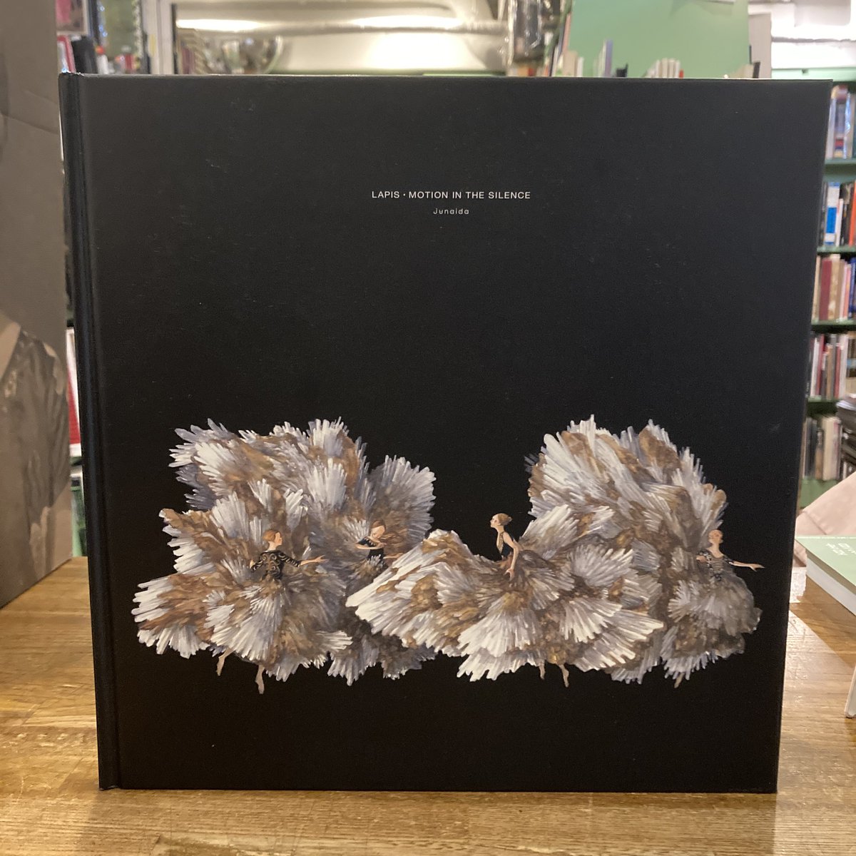 LAPIS•MOTION IN THE SILENCE / Junaida 入荷しました。