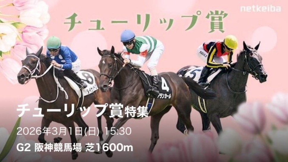 umaumaoumasan55's tweet photo. 日曜 🌷 早いもん勝ち

阪神11R チューリップ賞 の予想

①フォロー🤝
②いいね❤️‍🔥
③リプに「🌷」

条件達成で見解付予想プレゼント🎁

✨「○○力勝負になるならこの馬の出番」✨ https://t.co/y7BjY0qBKh