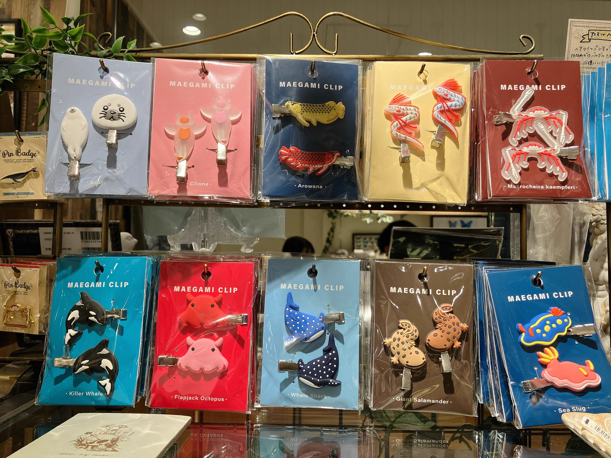 日本髪かつら結い上げ台　前髪押さえ　ケース THE STUDY ROOM エキュート上野店 on X: 
