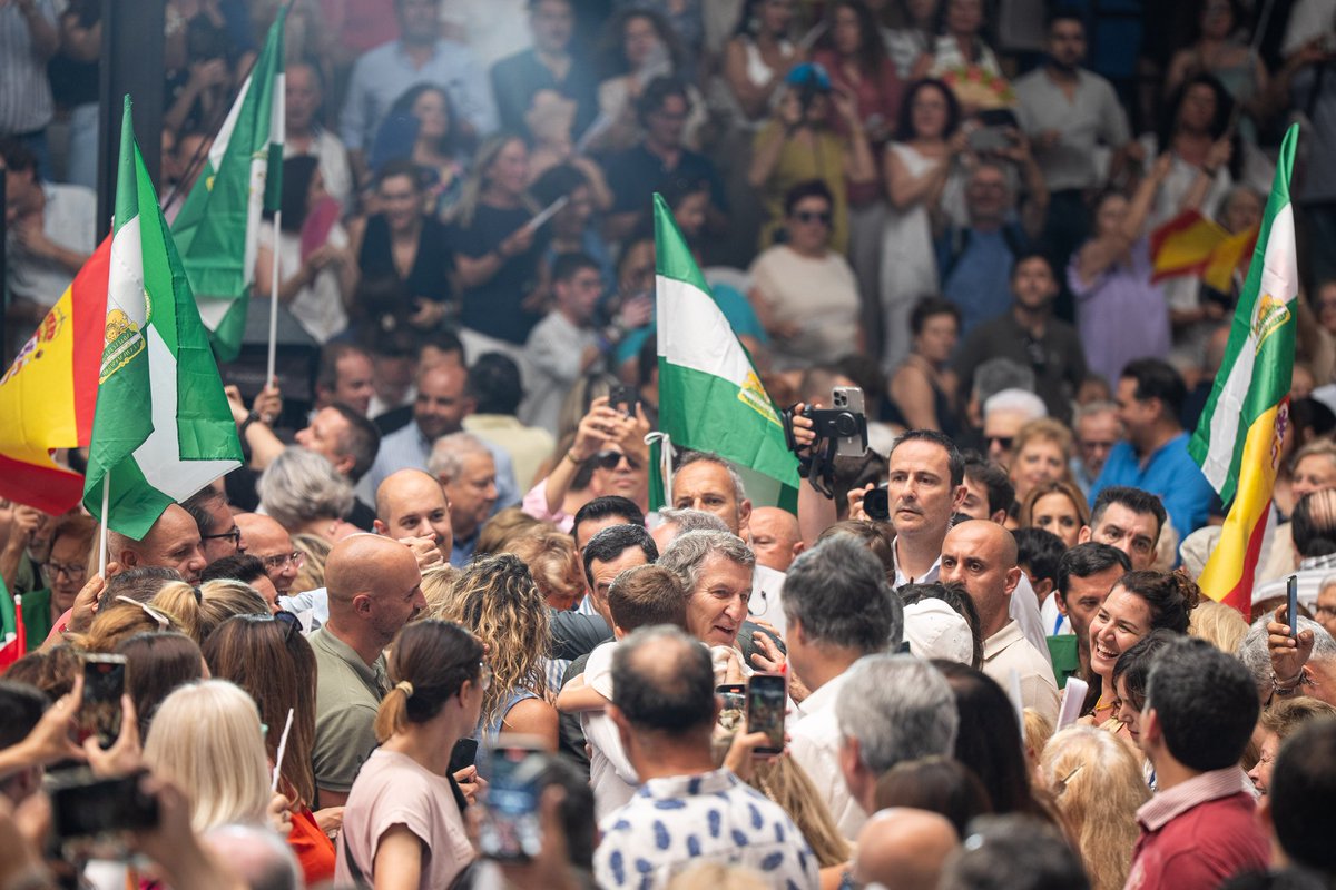 Alberto Núñez Feijóo tweet media