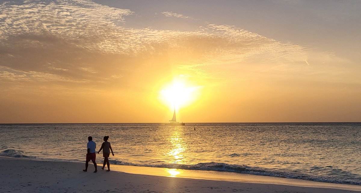 Bea Ann Argh tweet media