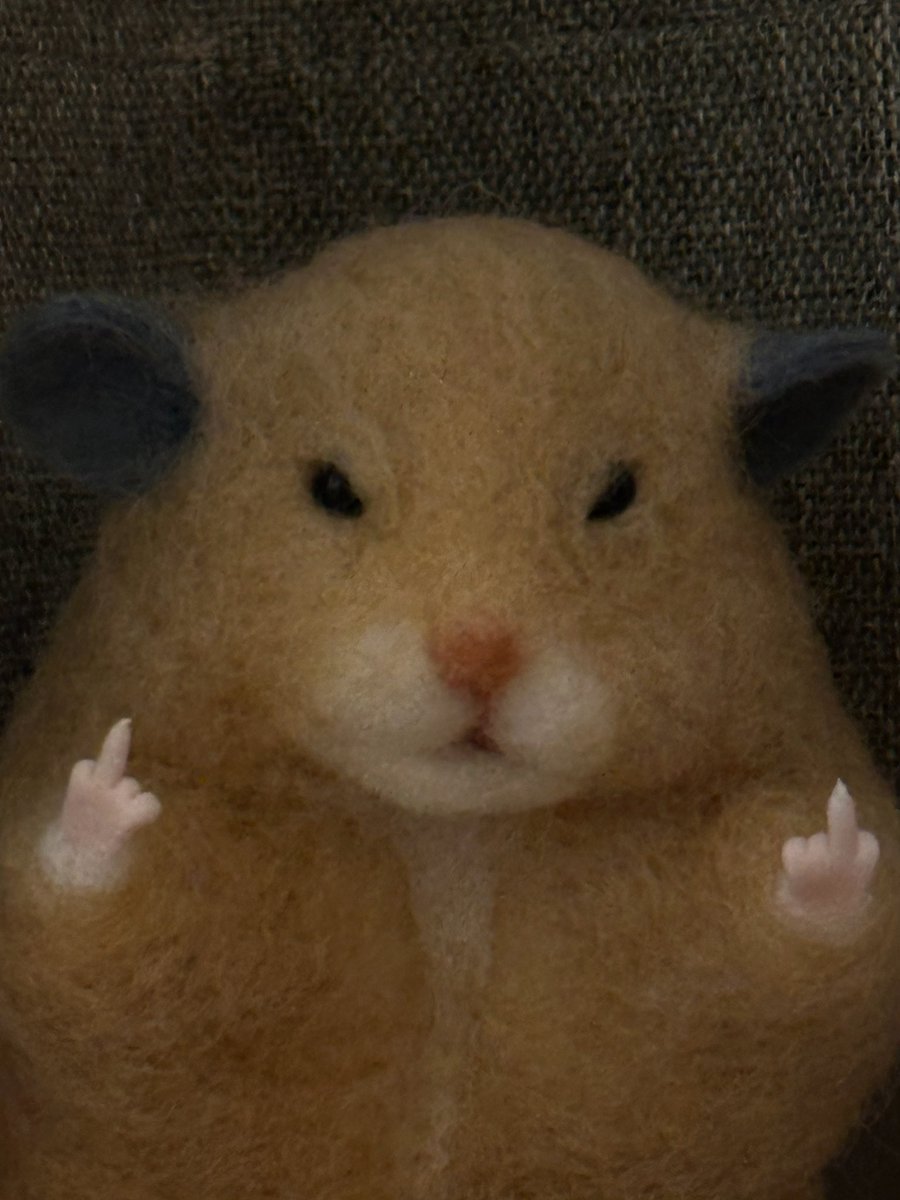 hemhemjp tweet media