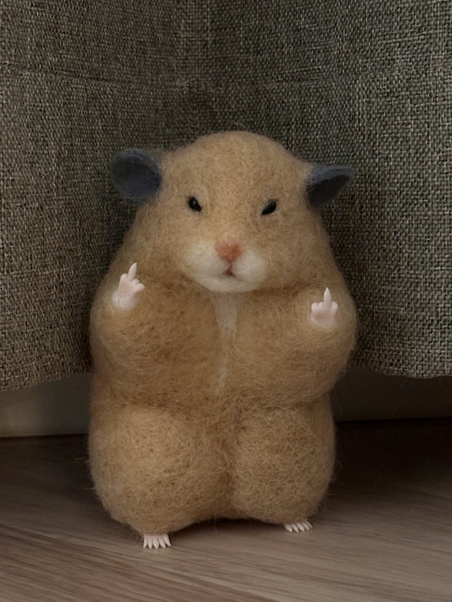 hemhemjp tweet media