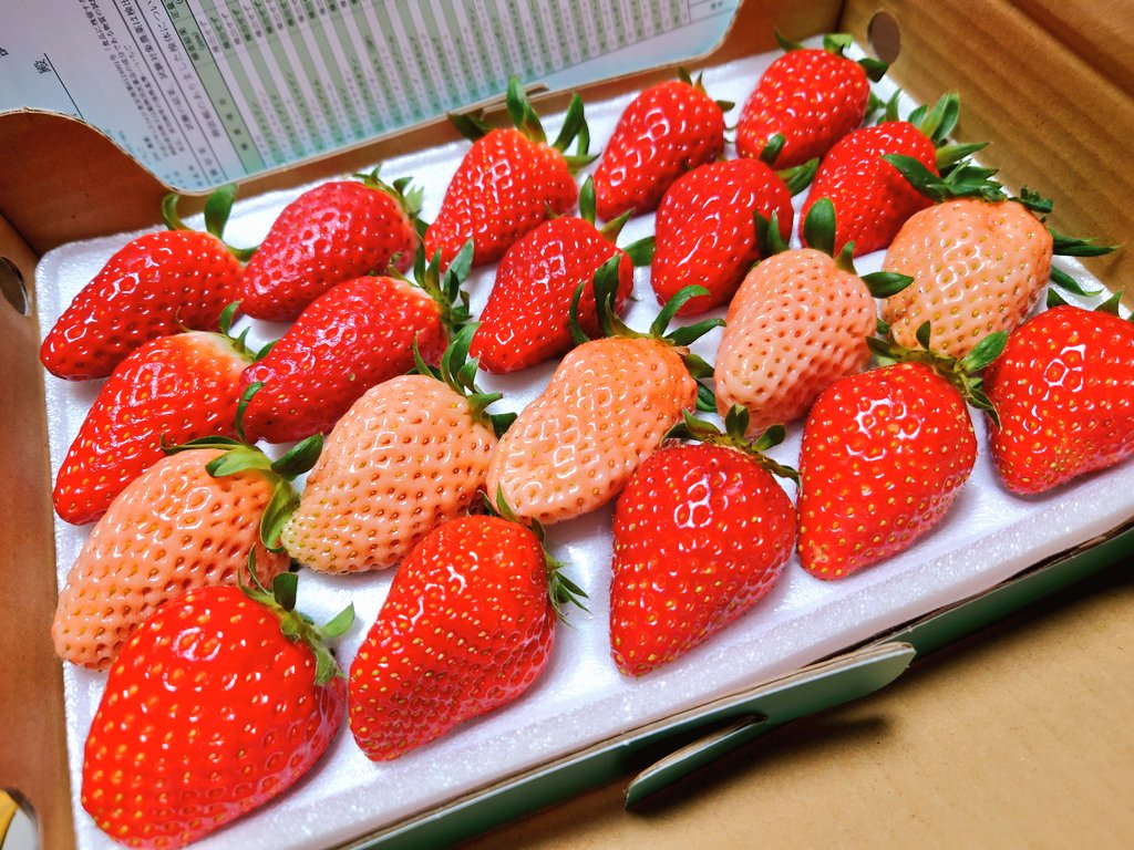 兄と従兄弟の娘ちゃん達が仲良しで、今日はいちご狩りに行ってきたよ！っておみやげ届けてくれた〜！女子可愛い❤