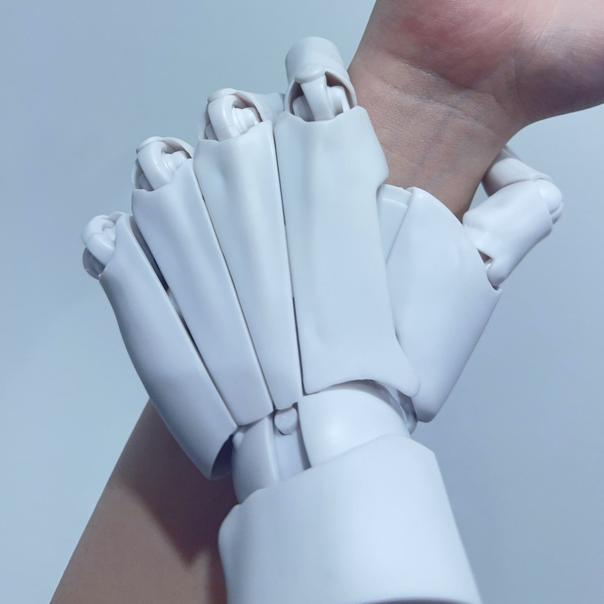 青猫🌱 tweet media