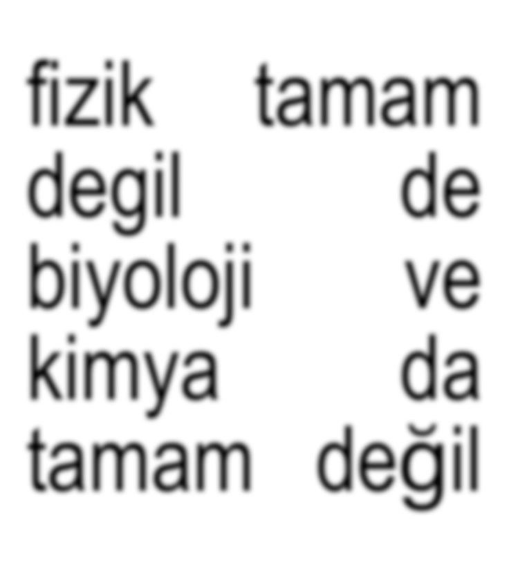 Yarin msu var fen netim hala 5