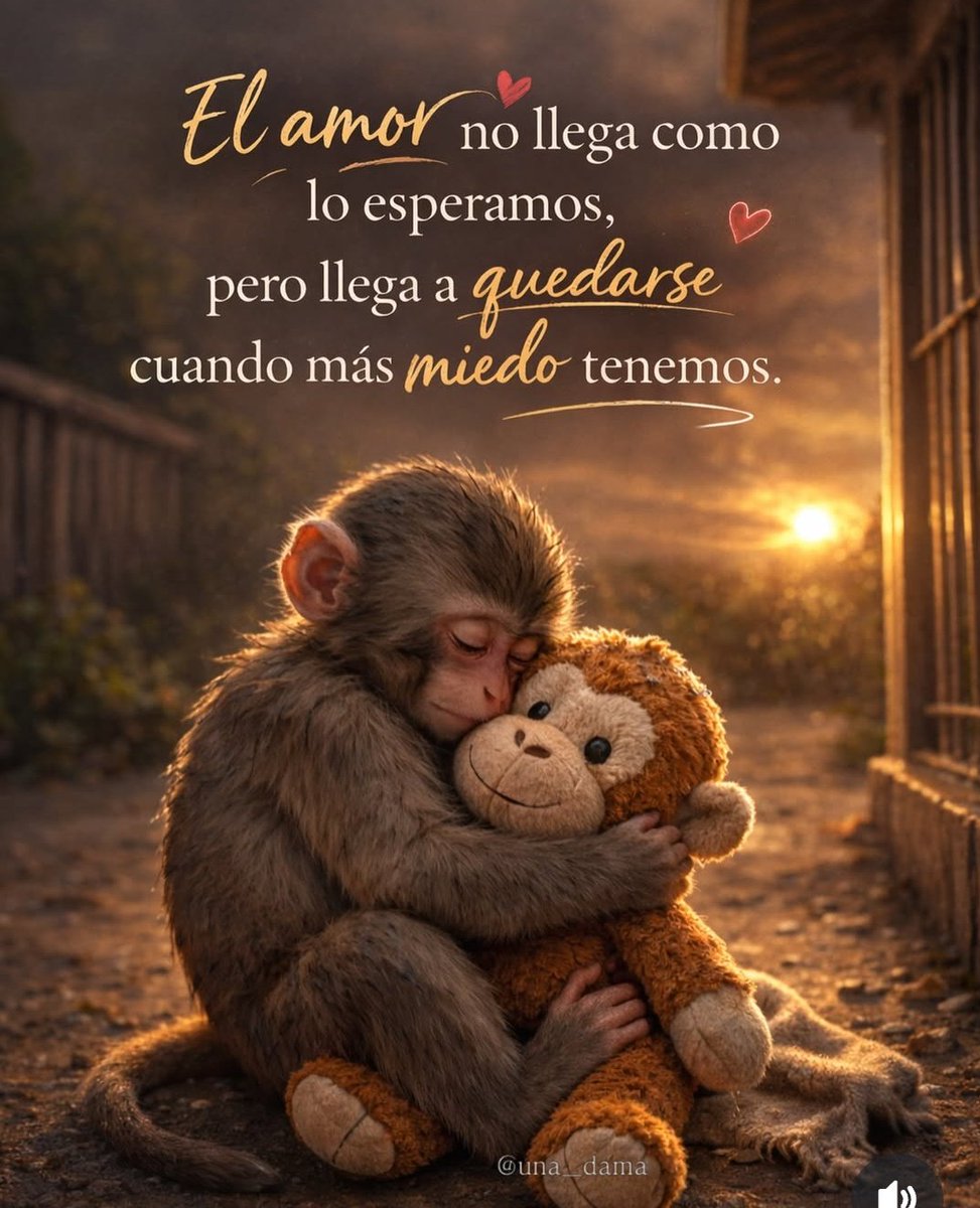marce72p's tweet photo. https://t.co/cvXyBXmbOT