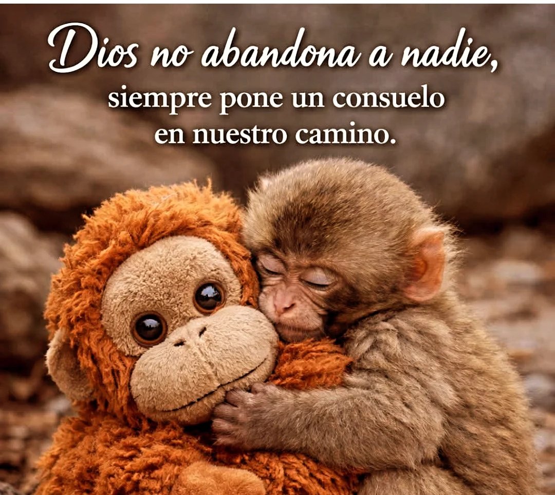 marce72p's tweet photo. https://t.co/uHq4rO1tHm