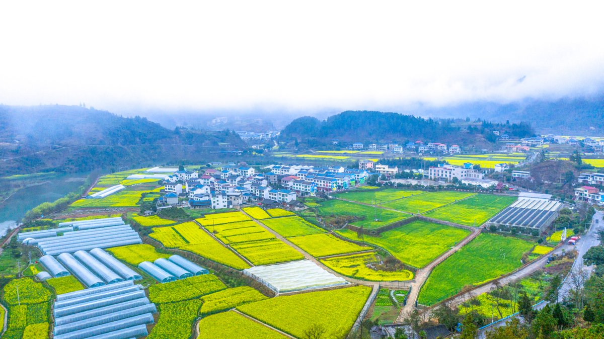 China Southern Power Grid tweet media