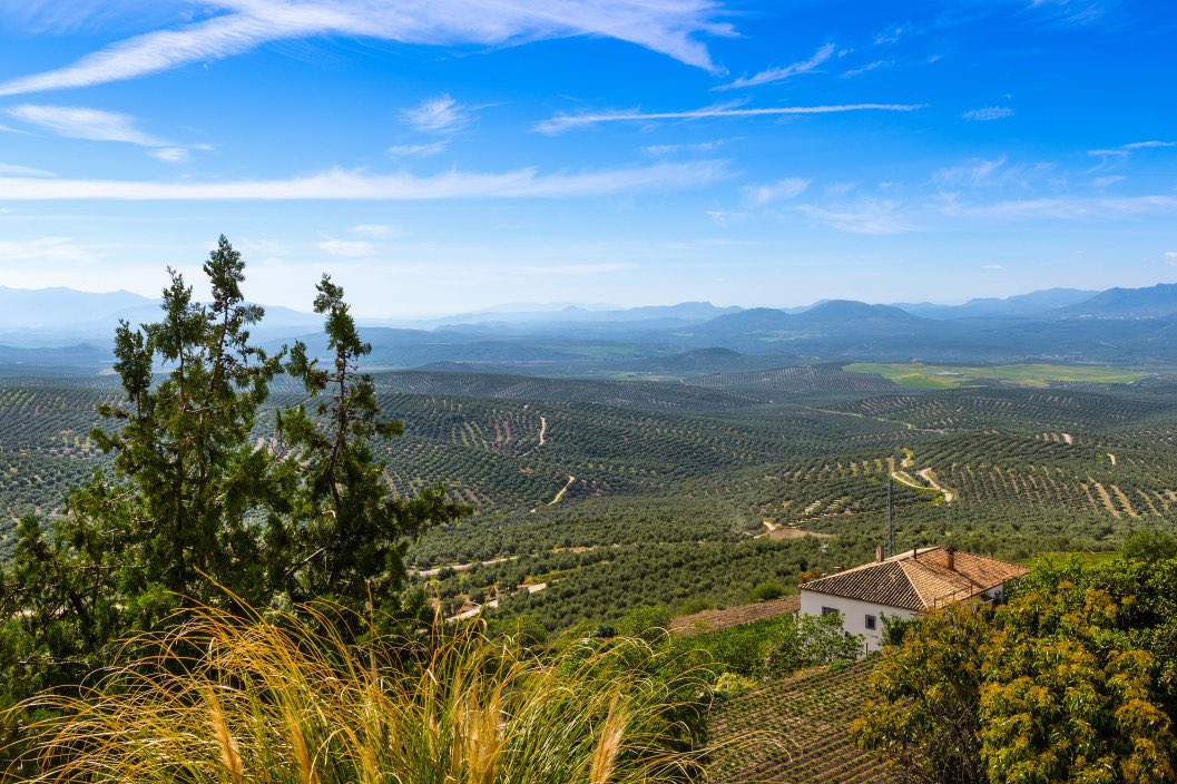 Feliz Día de Andalucía! ❤️